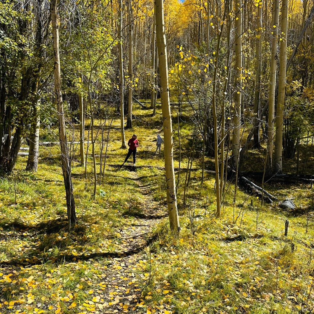 Meet your Posher, Anastasia